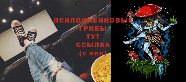 гашик Балабаново